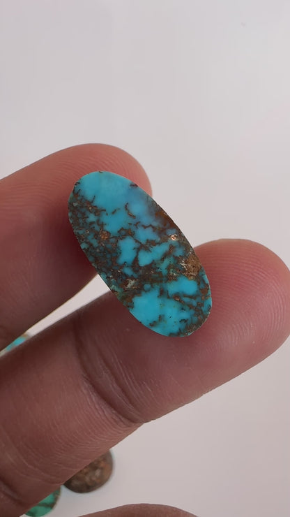 9.20ct Natural Nishapur Feroza